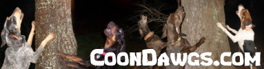 CoonDawgs.com